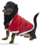 ABITINO NATALIZIO PER CAGNOLINI