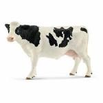 MUCCA HOLSTEIN