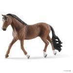 CASTRONE TRAKEHNER -CAVALLO- 13626