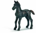 CAVALLO PULEDRO FRISONE