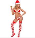 BIKINI NATALIZIO IN VELLUTO