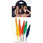 BUSTA 12 PIUME COLORATE 