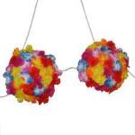 REGGISENO HAWAIANA