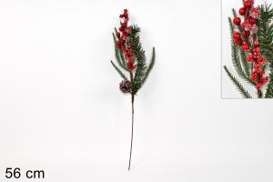 RAMO BACCHE E PIGNE INNEVATE