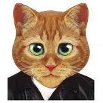 OFF  MASCHERA GIG. GATTO OCCHI GRANDI