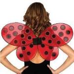 ALI COCCINELLA GLITTERATE 63X41