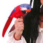 PAPPAGALLO DA SPALLA CM40