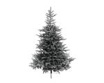 ALBERO CM150 SNOWY GRANDIS
