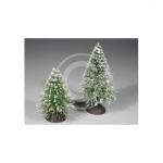 PINETTO CM.16 INNEVATO -P1-