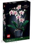 BOTANICAL COLLECTION ORCHIDEA