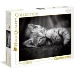PUZZLE DA 1000 GATTINO