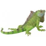 RETTILI IGUANA 