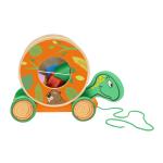 SEVI TARTARUGA CON INCASTRI 