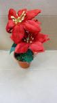 STELLA NATALE C/VASO ROSSO 