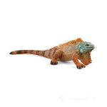 IGUANA 