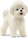 CAGNOLINO BICHON FRISE 