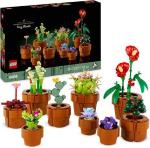 PIANTINE SET COLLEZIONE 