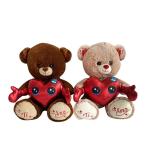 PELUCHE ORSO C/CUORE ABBRACCIO 2 COL CM 30 