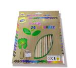 COLORI MATITA 24 PZ 