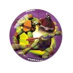 PALLONE TURTLE D.23
