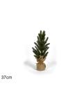 ALBERO CM 37 C/SACCO JUTA 