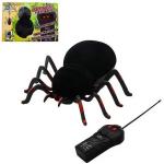 RAGNO R/C CM 13