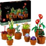 PIANTINE SET COLLEZIONE 