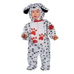 DALMATA BABY 1/2 2/3   =260=