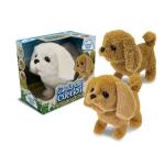 CAGNOLINO ABBAIA/CAMMINA E SCONDIZOLA  3 COL -UNO- 