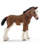 PULEDRO  CLYDESDALE FOAL 