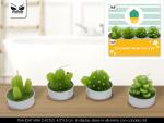 CANDELA MINI CACTUS 4 ASS -UNO- 