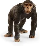 CHIMPANZEE GRANDE 