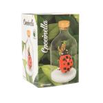 SET COSTRUZIONE COCCINELLA