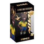 MINIX PELE' O REI 