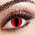 LENTI A CONTATTO OCCHIO DI TIGRE ROSSO RED CAT 