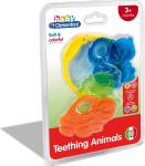 DENTIZIONE ANIMALI DEL BOSCO