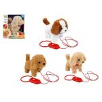 CAGNOLINO 3 ASS CAMMINA/ABBAIA/SCODINZOLA 