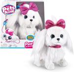 PETS ALIVE A SPASSO CON LILLI MALTESE 