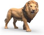 LEONE AFRICANO CM 7