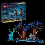HARRY POTTER FORESTA PROIBITA 