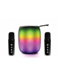 AMPLIFICATORE WIRELESS C/2 MICROFONI 