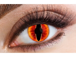 LENTI A CONTATTO SAURON GIORNALIERE 