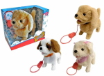 CANE CUCCIOLO FILOGUIDATO 3 ASS -UNO- 