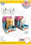 BOX GATTINO A PILE 4 ASS -UNO-